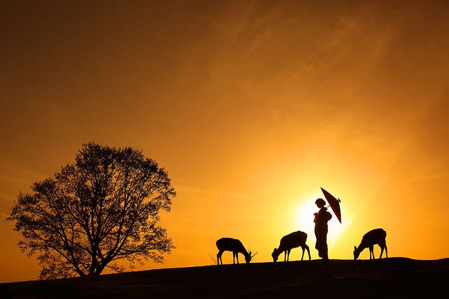奈良で結婚式ロケーション撮影